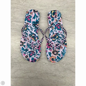 Sandals Flip Flops By Vera Bradley In Floral Print, Size: 10