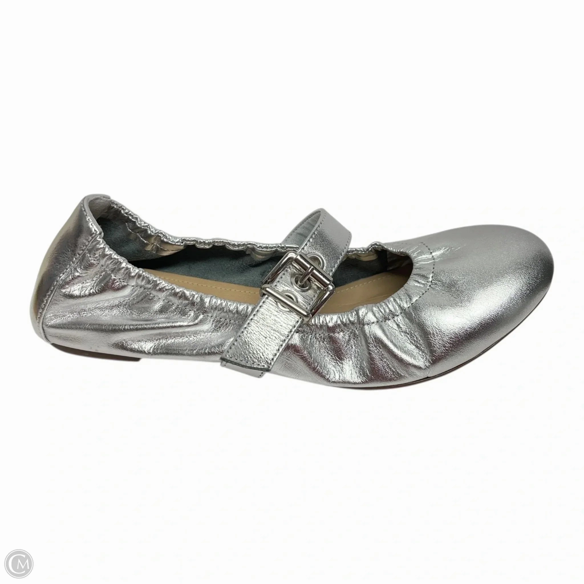 Shoes Flats By Schutz In Silver, Size: 8
