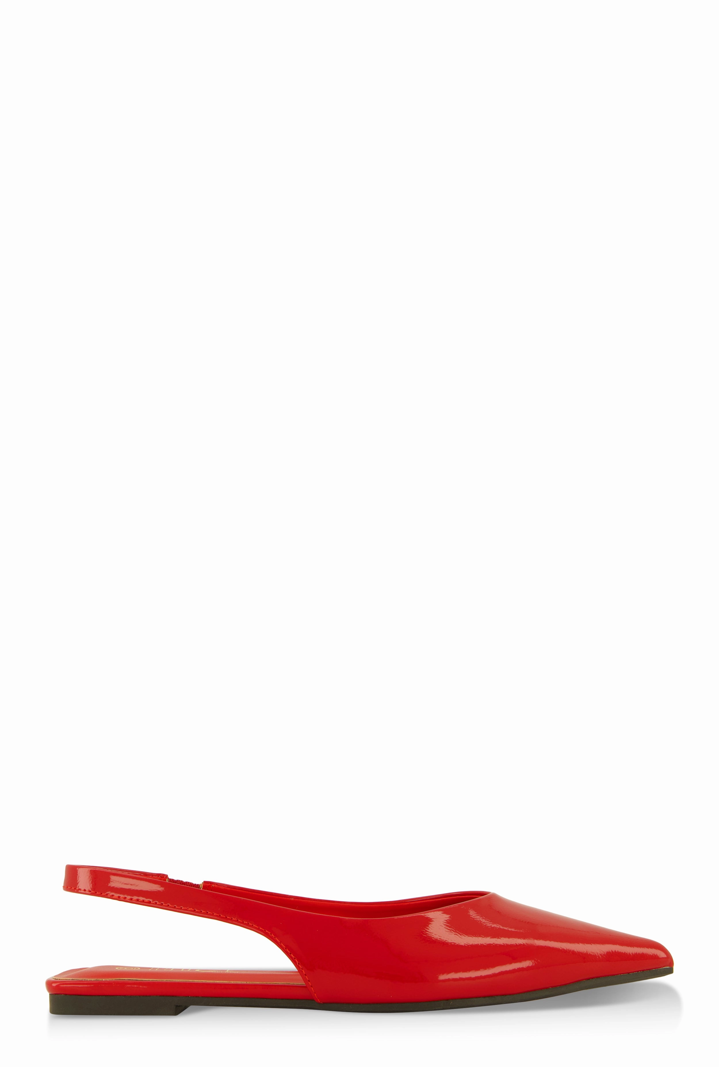 Slingback Pointed Toe Flats